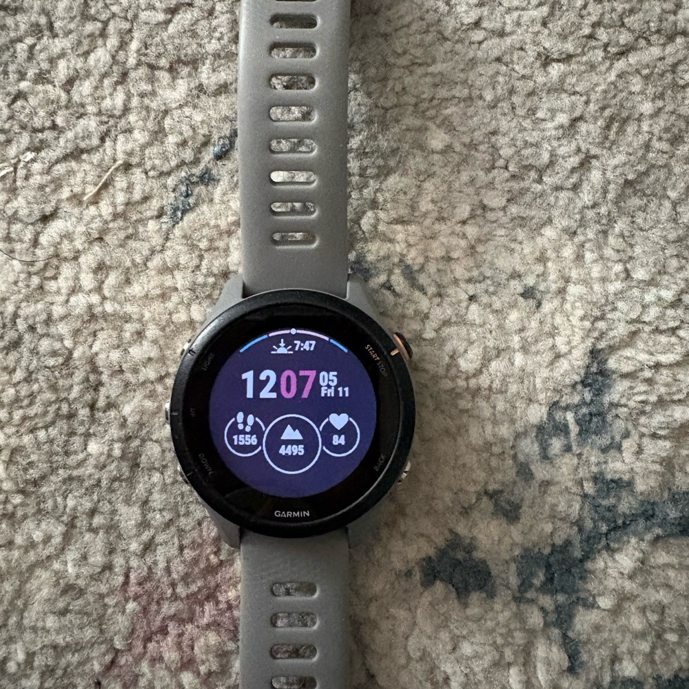 Garmin 255s